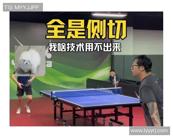 从零基础到高手之路乒乓球技巧与心态全面提升攻略