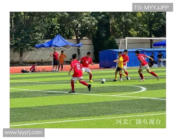 衡水足球明星盘点及其在中国足球界的影响与成就分析