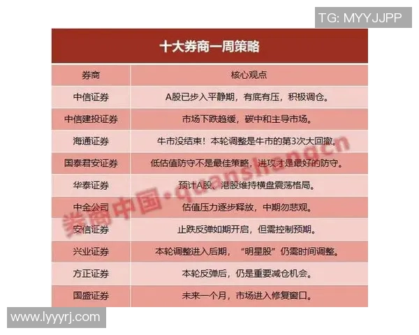 成都排球队防守策略分析与比赛表现的得失评估