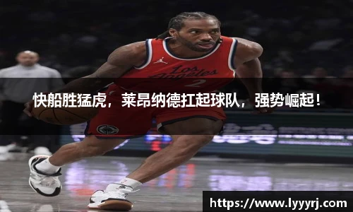 vsport官方网站